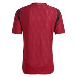 Explore belgium national team adidas 2024 home authentic jersey – burgundy – Canada World Cup T-Shirts and Jerseys