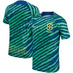 Explore brazil national team nike 202223 pre-match top – bluegreen – Canada World Cup T-Shirts and Jerseys