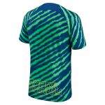 Explore brazil national team nike 202223 pre-match top – bluegreen – Canada World Cup T-Shirts and Jerseys