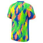 Explore brazil women8217s national team nike 2025 academy pro pre-match performance top – blue – Canada World Cup T-Shirts and Jerseys