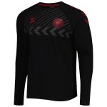 Explore denmark national team fan raglan long sleeve t-shirt – black – Canada World Cup T-Shirts and Jerseys