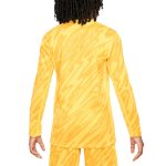 Explore france national team nike youth 2024 goalkeeper replica stadium long sleeve jersey – yellow – Canada World Cup T-Shirts and Jerseys