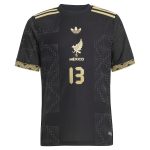 Explore guillermo ochoa mexico national team adidas youth 2025 third authentic player jersey – black – Canada World Cup T-Shirts and Jerseys