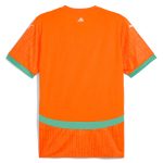 Explore ivory coast national team puma 2025 home replica jersey – orange – Canada World Cup T-Shirts and Jerseys