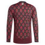 Explore mexico national team adidas 2024 home replica long sleeve jersey – burgundy – Canada World Cup T-Shirts and Jerseys