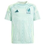 Explore mexico national team adidas youth 2024 away replica jersey – green – Canada World Cup T-Shirts and Jerseys