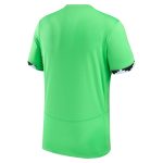 Explore nigeria women8217s national team nike 2023 home stadium replica jersey – green – Canada World Cup T-Shirts and Jerseys