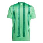 Explore northern ireland national team adidas 2024 home replica jersey – green – Canada World Cup T-Shirts and Jerseys