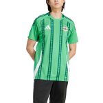 Explore northern ireland national team adidas 2024 home replica jersey – green – Canada World Cup T-Shirts and Jerseys
