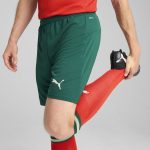 Explore portugal national team puma 2025 home replica shorts – green – Canada World Cup T-Shirts and Jerseys