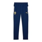 Explore portugal national team puma 2025 training pants – blue – Canada World Cup T-Shirts and Jerseys