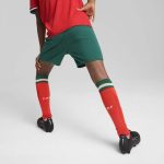 Explore portugal national team puma youth replica shorts – green – Canada World Cup T-Shirts and Jerseys