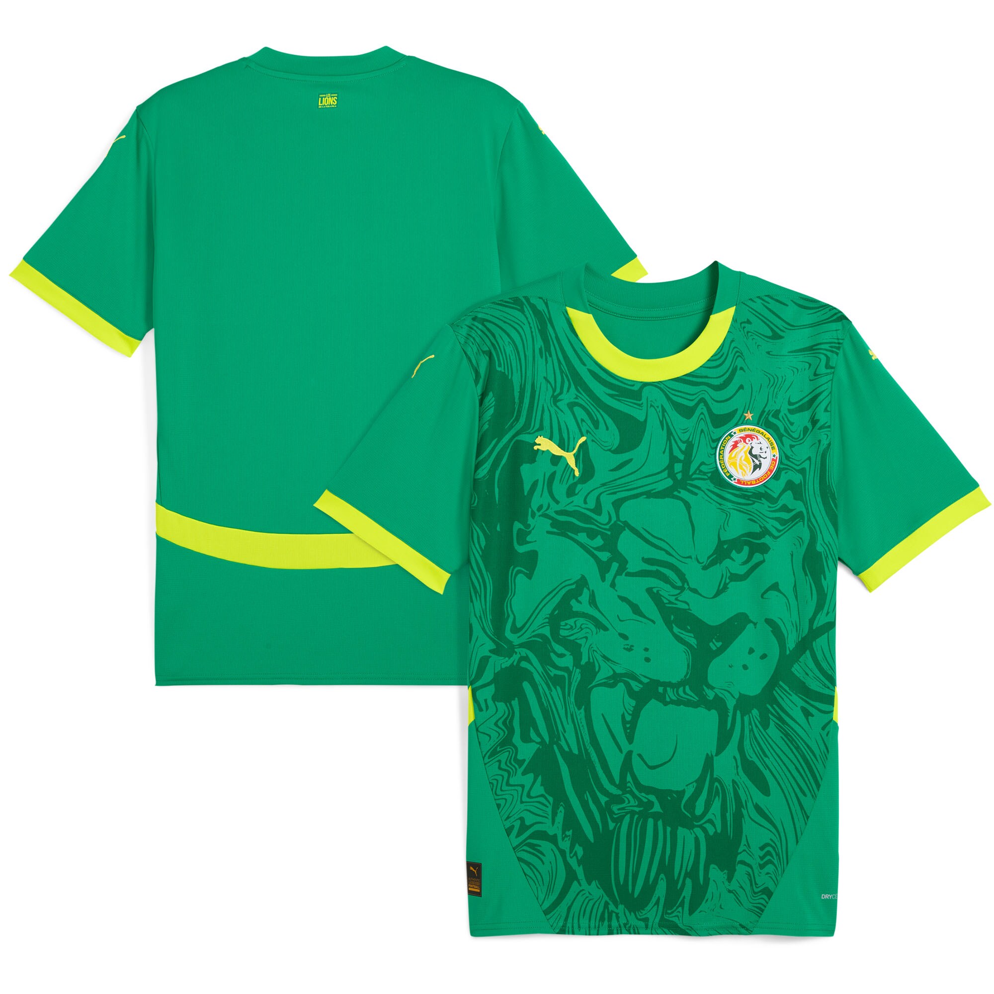 Explore senegal national team puma 2025 away replica jersey – green – Canada World Cup T-Shirts and Jerseys