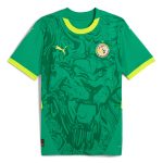 Explore senegal national team puma 2025 away replica jersey – green – Canada World Cup T-Shirts and Jerseys