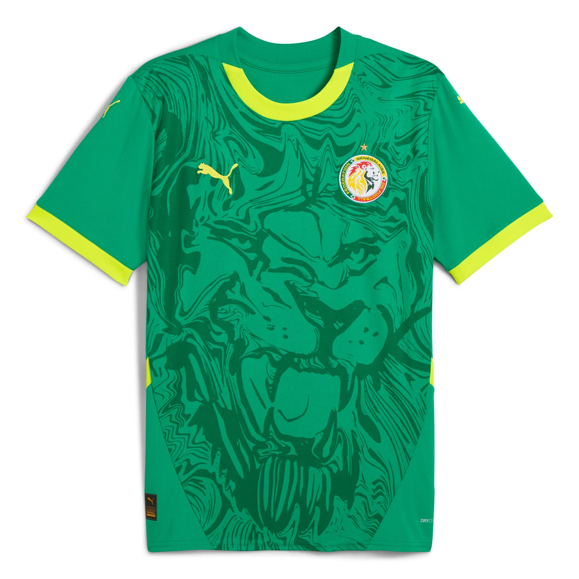 Explore senegal national team puma 2025 away replica jersey – green – Canada World Cup T-Shirts and Jerseys
