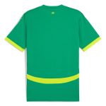 Explore senegal national team puma 2025 away replica jersey – green – Canada World Cup T-Shirts and Jerseys
