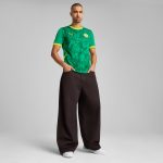 Explore senegal national team puma 2025 away replica jersey – green – Canada World Cup T-Shirts and Jerseys