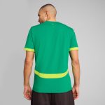 Explore senegal national team puma 2025 away replica jersey – green – Canada World Cup T-Shirts and Jerseys