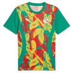 Explore senegal national team puma 2025 pre-match jersey – green – Canada World Cup T-Shirts and Jerseys