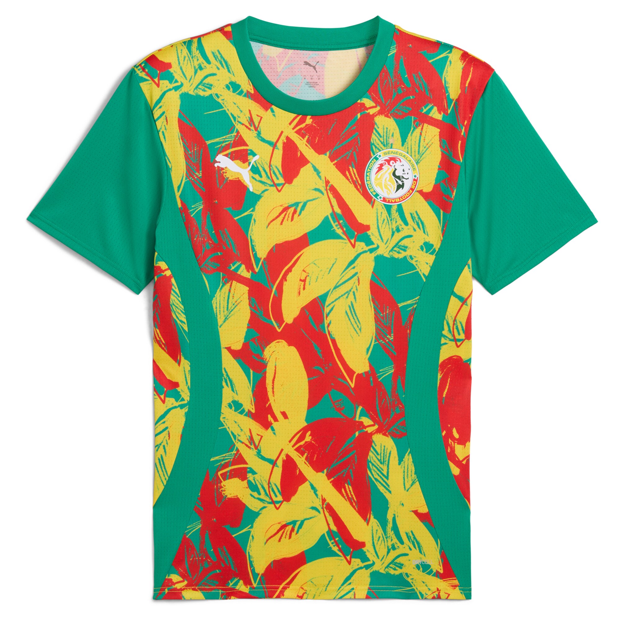 Explore senegal national team puma 2025 pre-match jersey – green – Canada World Cup T-Shirts and Jerseys