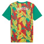 Explore senegal national team puma 2025 pre-match jersey – green – Canada World Cup T-Shirts and Jerseys