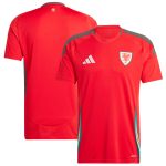 Explore wales national team adidas 2024 home replica jersey – scarlet – Canada World Cup T-Shirts and Jerseys