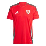 Explore wales national team adidas 2024 home replica jersey – scarlet – Canada World Cup T-Shirts and Jerseys