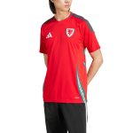 Explore wales national team adidas 2024 home replica jersey – scarlet – Canada World Cup T-Shirts and Jerseys